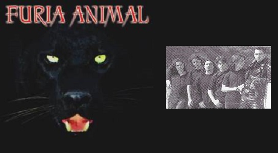 Furia Animal – Entrevista